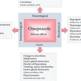omeprazole side effects in elderly|Omeprazole (Oral Route) Side Effects .